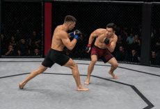 Двоє бійців ММА змагаються за центр октагону